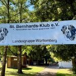 Bild2